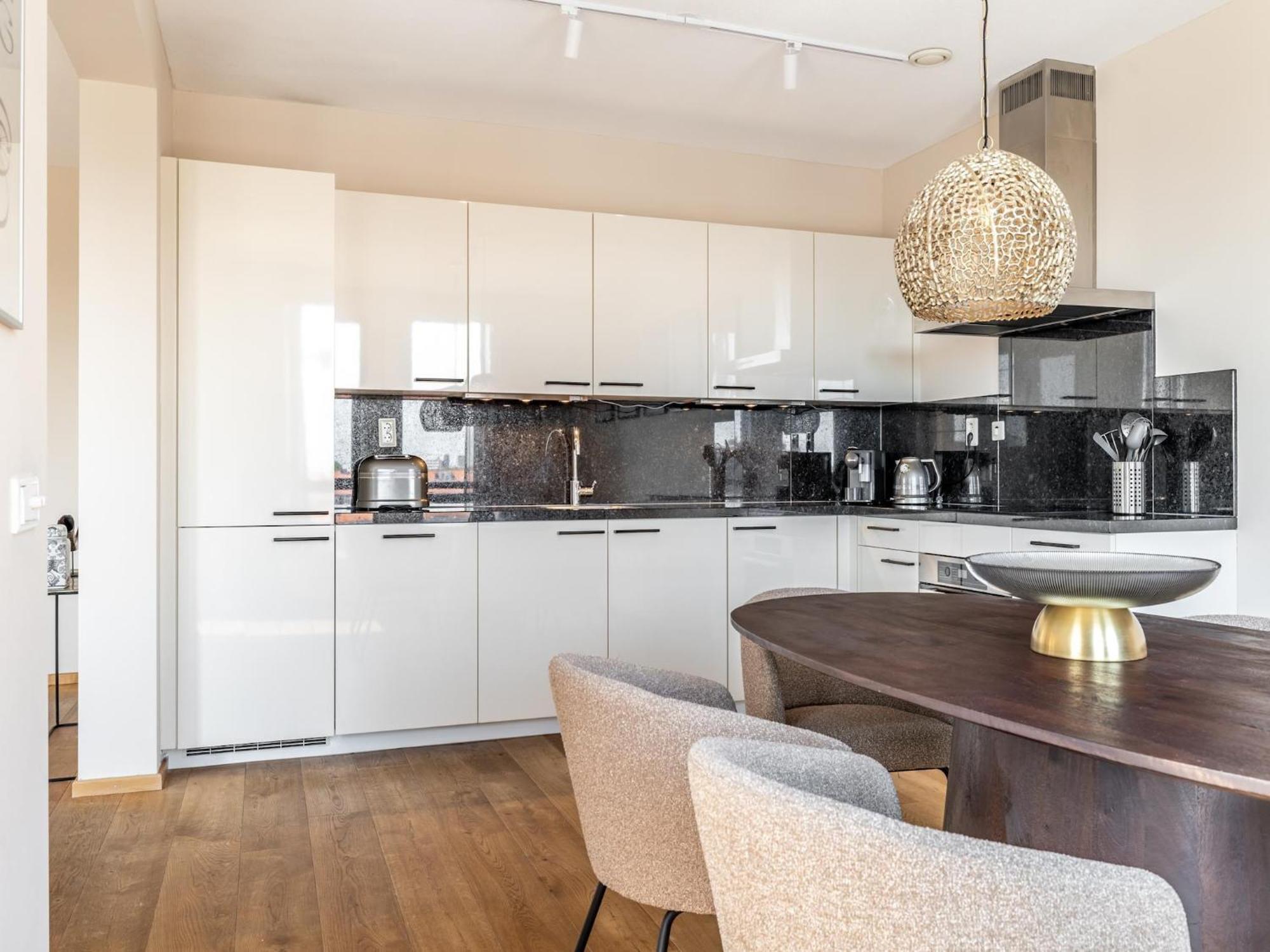 Luxury Penthouse Near Scheveningen Apartment